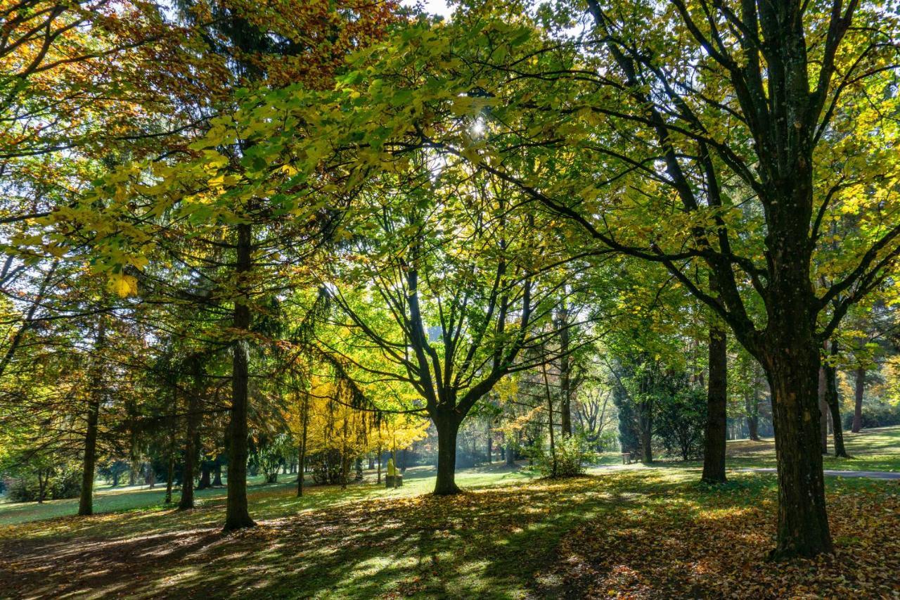Отель Ferien Beim Treiber Бад-Тацмансдорф Экстерьер фото